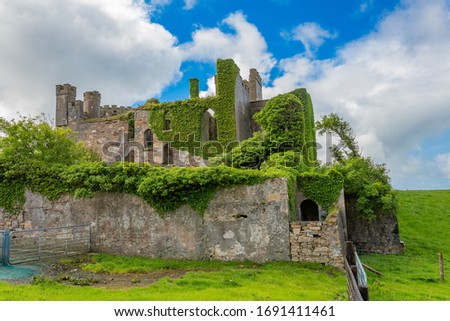 Clifden castle ruins, climbing plants covered walls, sunny spring day with blue sky and white clouds in County Galway, Ireland