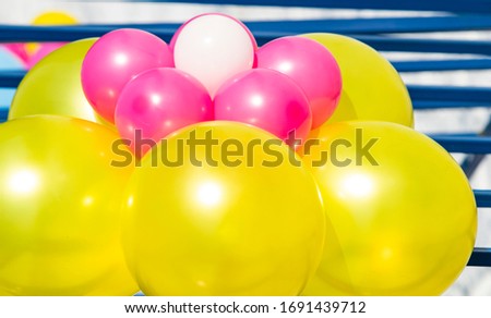Colorful balloons like flowers, close up.