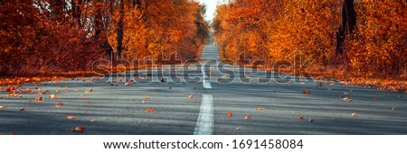 Banner 3:1. Empty asphalt road in autumn fall forest. Autumnal background. Selective focus