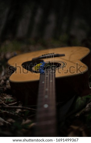 Acoustic guitar in the forest