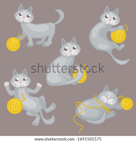 Set of vector illustrations with a playing gray cat: lying, sitting, sleeping. pet character, stickers in cartoon style.