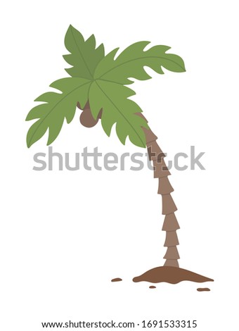 Vector tropical palm tree clip art. Jungle foliage illustration. Hand drawn flat exotic plant isolated on white background. Bright childish summer greenery illustration