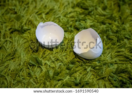 a white shell from one egg lies on artificially green grass, close-up, top view, place for copyspace