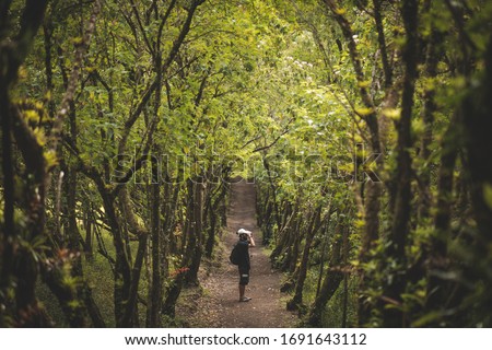 man between trees exploring nature Royalty-Free Stock Photo #1691643112
