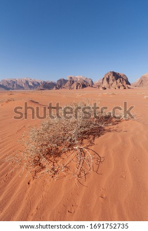 Valley of the Moon sand sandstone and granite rock desert Wadi Rum Petra Jordan