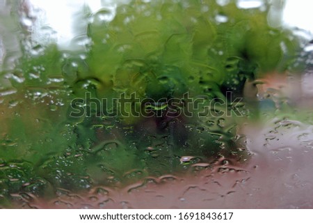 wet window with a view