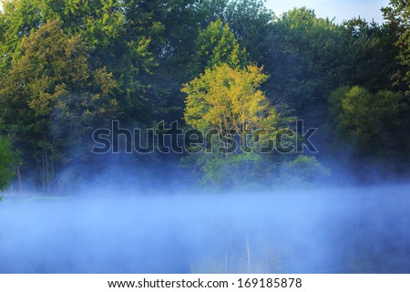 Morning mist raising on a lake