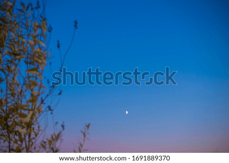Beautiful view and landscape of dark nature, forest and sky in the evening or in the morning at sunset.