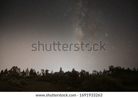 Milky way over the trees. Night landscape with beautiful stars and gorgeous sky. Dark trees on the horizon.