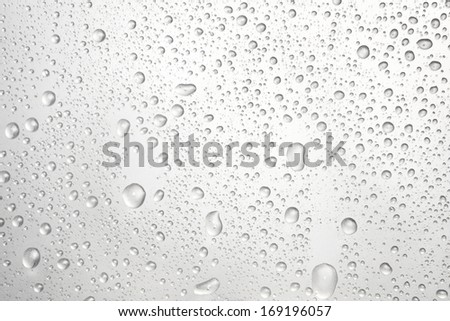 water drops an white background  Royalty-Free Stock Photo #169196057