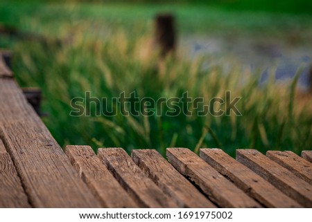 The panoramic nature background of the green field scenery,the long wooden bridge,the wind blowing through many species of leaves blurred,the beauty of the ecosystem