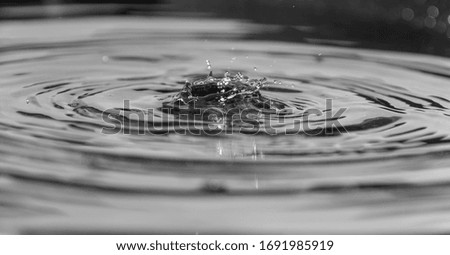 black water surface with drops background