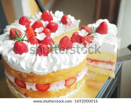 Strawberry cream cake with evening sun light
