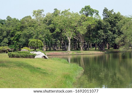 calm picture of the park with a river