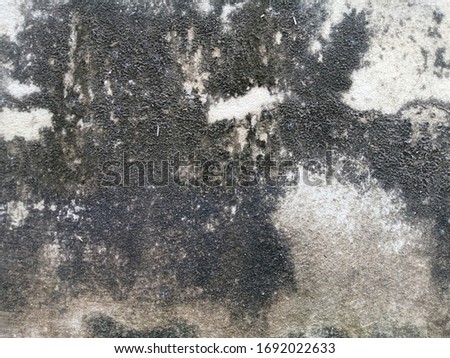 The​ abstract​ of​ surface​ wall​ concrete​ damaged​ by​ rust​y​ for​ background. Rust​y​ effected​ to​ wall​ concrete. Wall texture​ use​ for​ background. Rust​ of wall​ concrete​ for​ background​