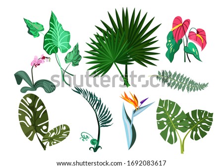 Green plants set illustration. Green plant leaves and flowers on white background. Can be used for topics like nature, garden, house plant