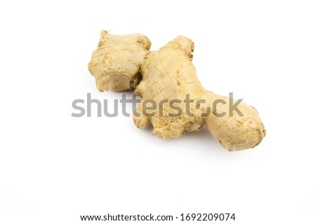 Ginger on a white isolated background Royalty-Free Stock Photo #1692209074