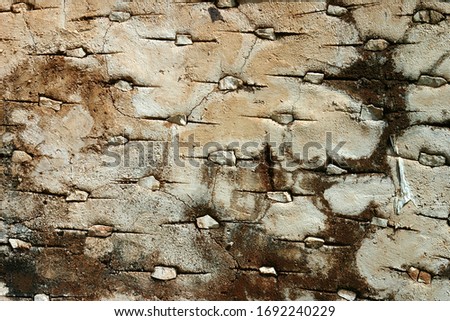 Stone Wall detail with plaster and inset rough stones