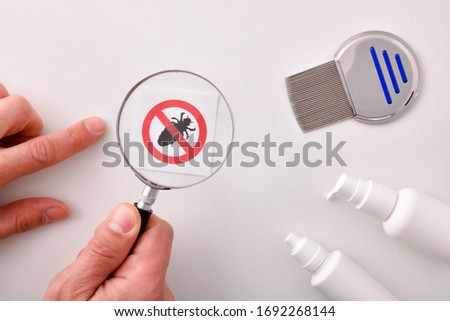 Lice treatment concept with hand with magnifying glass over drawing of louse with prohibited sign and accessories and products on a white table. Top view.