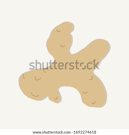 An isolated image of a ginger rhizome.Natural remedy for the season of colds, flu, epidemics. Designation,delivery,production of curry, candied fruit, ginger beer, ginger tea, ginger ale. Aromatherapy