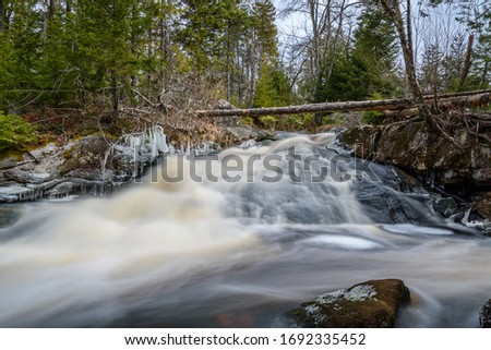 Forest landscape with small river cascade falls over mossy rocks