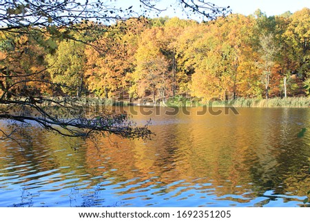 Pictures of the lake Schlachtensee in Berlin in autumn