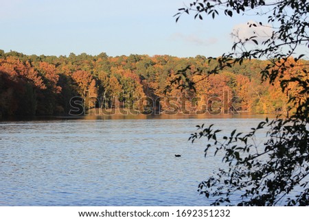 Pictures of the lake Schlachtensee in Berlin in autumn