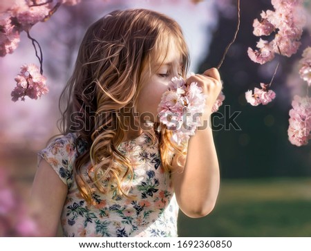 Child, 6 year old girl, smelling a branch of a cherry blossom tree in a park in the Netherlands in spring time. Don't forget to stop and smell the flowers!