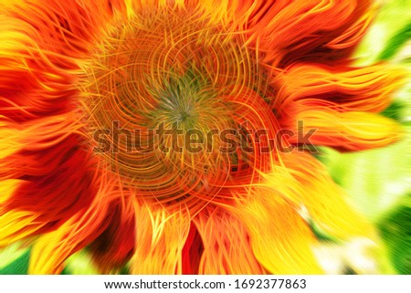 Abstract colourful background of red sunflower in full bloom