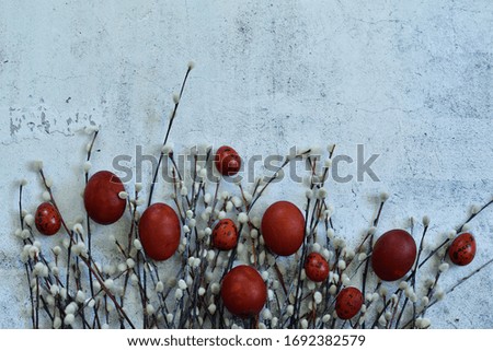 Easter composition of red eggs and twigs of a tree with flowering on light cement background. Naturally Eggs painted with onion peel.Eco paint. Happy Easter card. Flat lay.Copy space Selective focus.