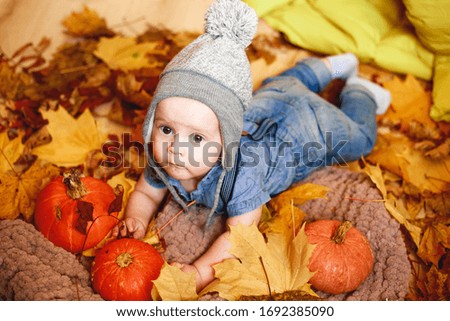 a little boy plays in the autumn leaves next to pumpkins
