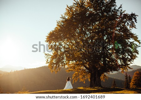Sun rays sparkle between couple watching sunset through the tree