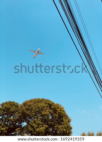Airplane flying over head in the blue sky with trees and power lines but no clouds take from the bottom. Concept picture for traveling