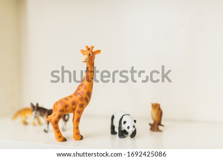 children's toys animals stand on a shelf a giraffe, panda, donke