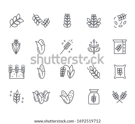 Set of cereal Related Vector Line Icons. Includes such Icons as plants, wheat, vegetable garden, flour, grain and more. Royalty-Free Stock Photo #1692519712