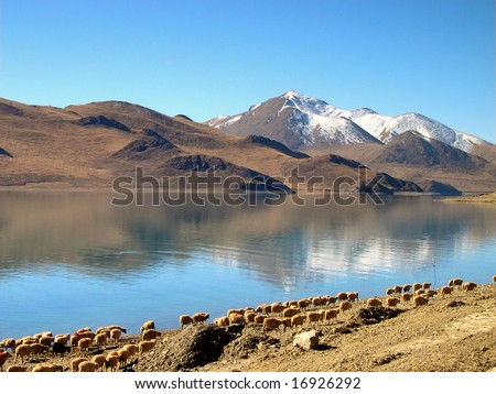 China, Tibet lake near  Kamba-la pass