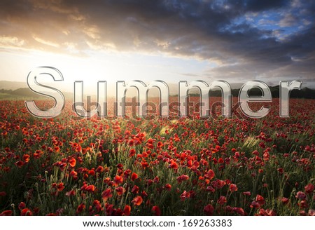 Transparent glass style text over Beautiful landscape image of Summer poppy field