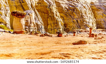 Toadstool Hoodoos against the background of the colorful sandstone mountains on the Toadstool Hiking Trail in Grand Staircase-Escalante Monument between Page, Arizona and Kanab, Utah in the USA