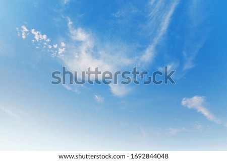 blue sky with white cloud in morning light