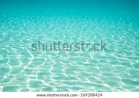 Beautiful clear underwater surface.