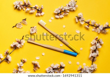 blue and yellow bamboo toothbrushes on a yellow background in an oval frame from flowering branches of apricot trees.