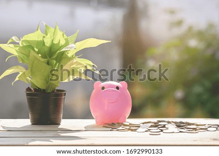 Piggy bank and coins for saving with green background and light 