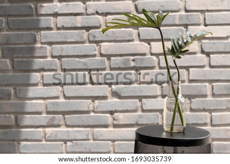 Picture of a tree with a cement wall in the background