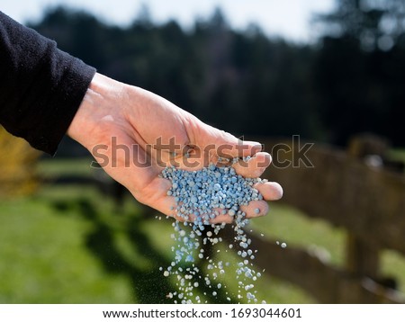 how to apply chemical fertilizer to plants in garden; hand holding and spreading chemical fertilizer or blue corn / blue fertilizer - how to fertilize your garden by hand using chemical fertilizer Royalty-Free Stock Photo #1693044601