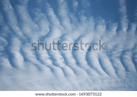 Cloud and blue sky on the summer texture background wallpaper