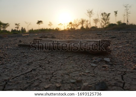 Abstract wood background in the evening