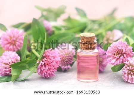 Essential oil bottles on pink clover flowers and medicinal herbs background, shallow DOF, toned	