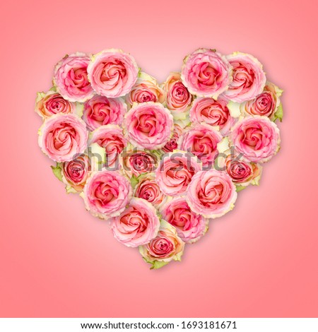 Bouquet of tea roses in the shape of a heart on a coral background. Valentine's Day. The picture in the style of minimalism. 3d effect.