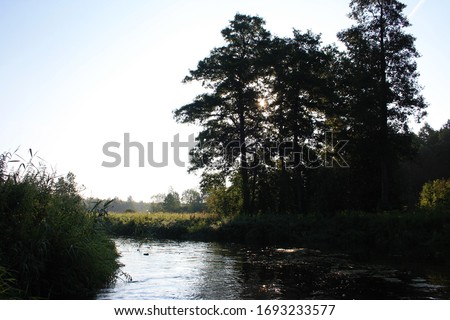 Sunrise on the forest river, boat view, coastal forest and reeds, Vladimir region, Russia.