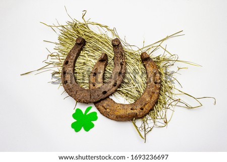 Cast iron metal horseshoes on hay, isolated on white background. Felt clover leaf, Good luck symbol, St.Patrick's Day concept, horse accessories